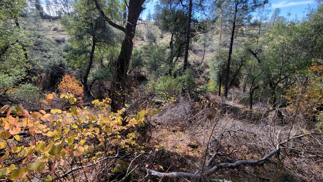000 Rancheria Creek Road, Shingletown, CA 96088