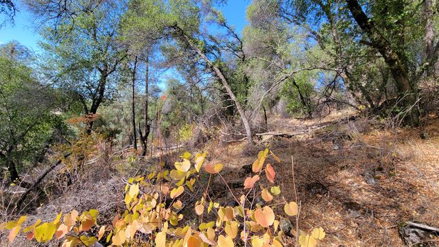 000 Rancheria Creek Road, Shingletown, CA 96088