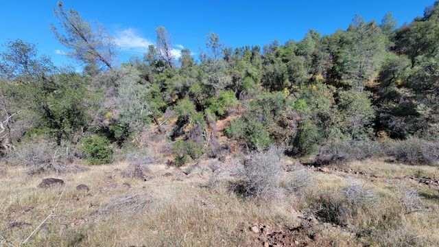 000 Rancheria Creek Road, Shingletown, CA 96088