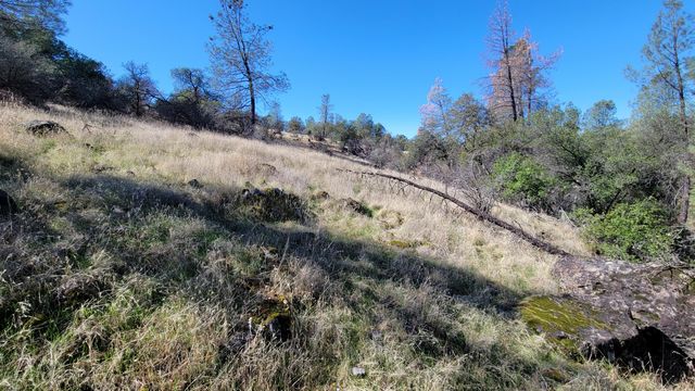 000 Rancheria Creek Road, Shingletown, CA 96088