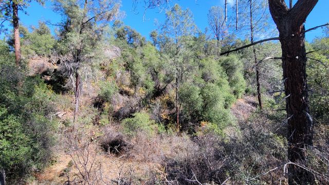 000 Rancheria Creek Road, Shingletown, CA 96088