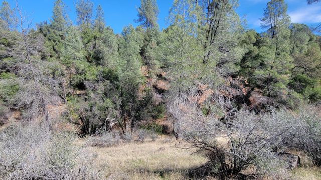 000 Rancheria Creek Road, Shingletown, CA 96088