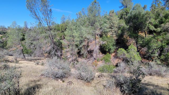 000 Rancheria Creek Road, Shingletown, CA 96088