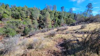 000 Rancheria Creek Road, Shingletown, CA 96088