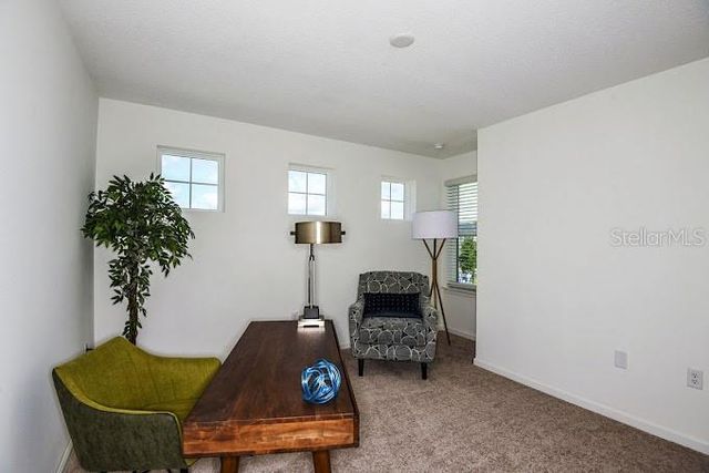 2626 HAM BROWN ROAD Elena, Kissimmee, FL 34746