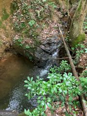 230 Harmony Valley Drive, Alto, GA 30510