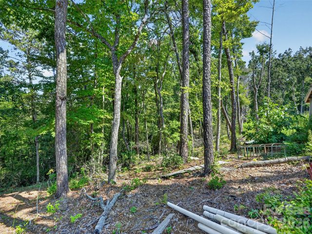 00 Jacks Paw Lane, Hendersonville, NC 28792