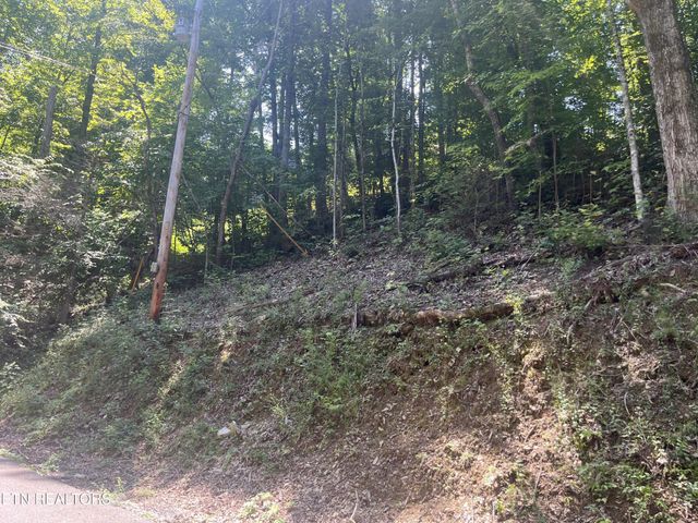 331 Ridgefield Drive, Sevierville, TN 37876