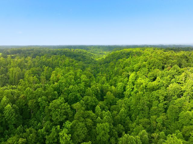 1475 Gosser Ridge Road, Liberty, KY 42539