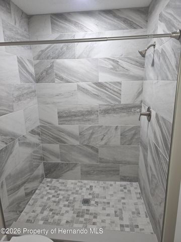 6143 Alderwood Street, Spring Hill, FL 34606