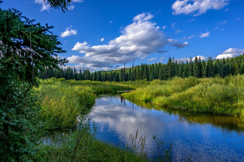 002 Route 83, Seeley Lake, MT 59868 photo 12