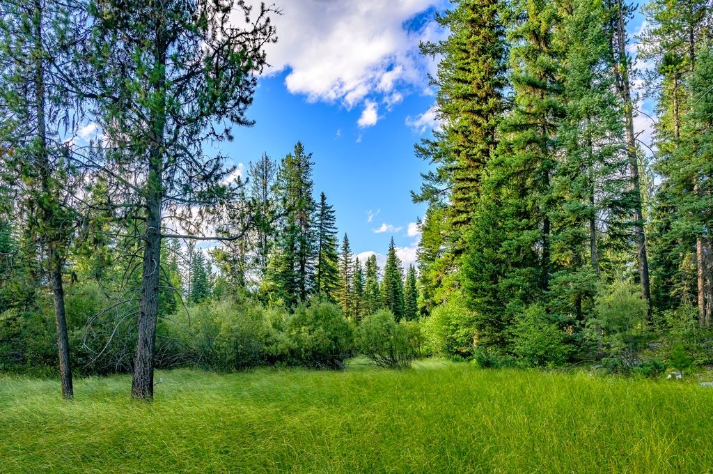 002 Route 83, Seeley Lake, MT 59868 photo 14