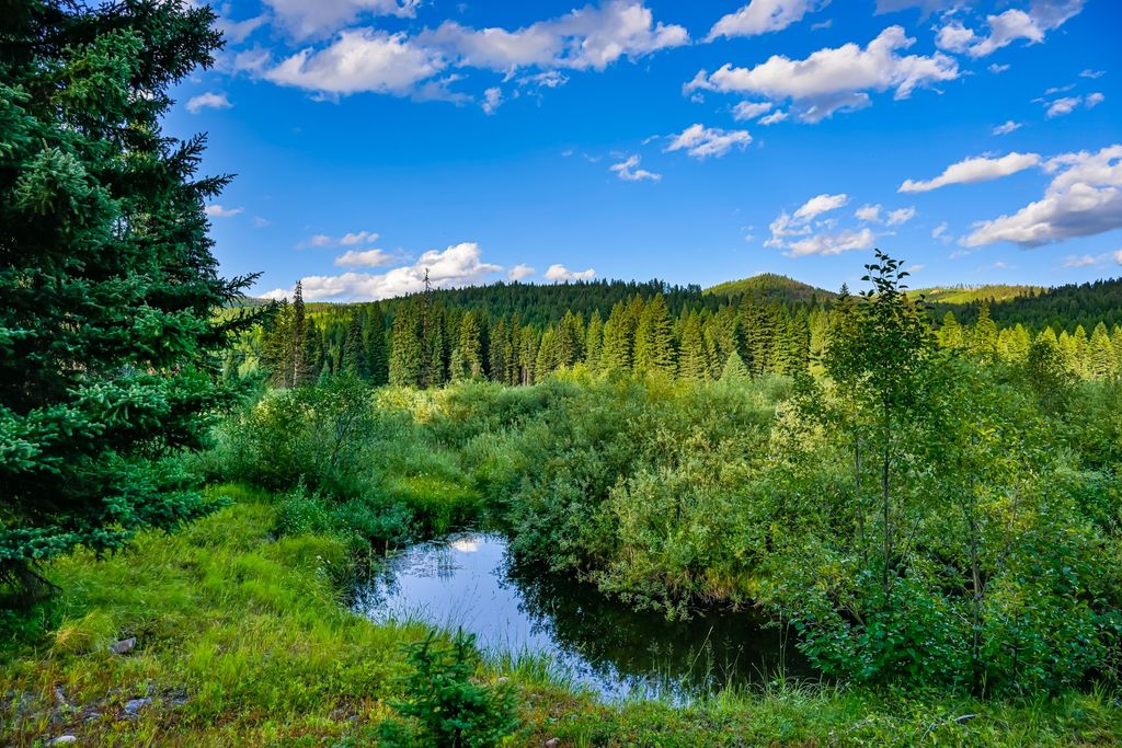 002 Route 83, Seeley Lake, MT 59868 photo 15