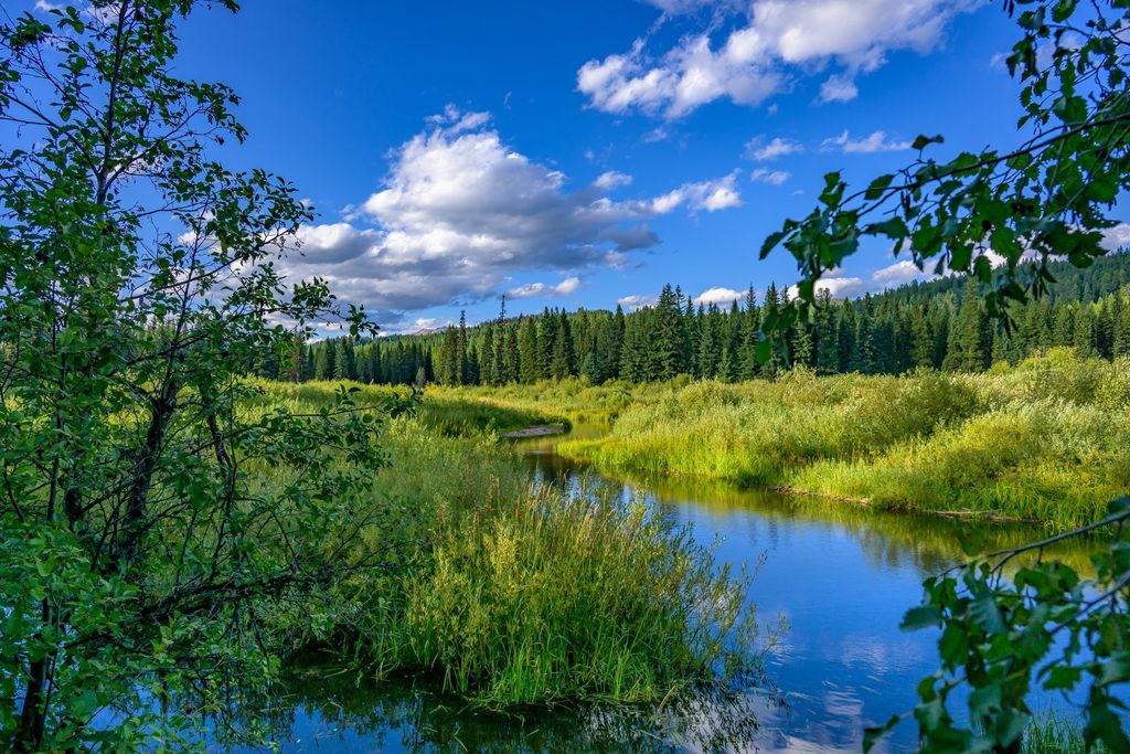 002 Route 83, Seeley Lake, MT 59868 photo 2