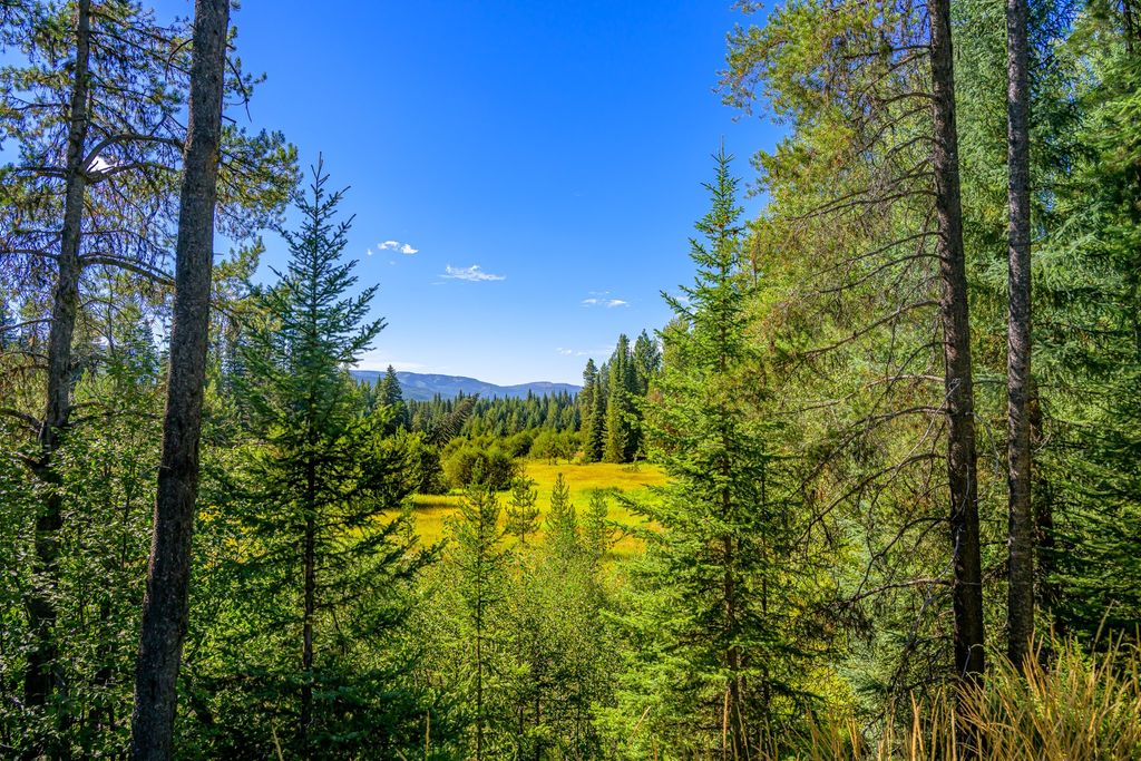 002 Route 83, Seeley Lake, MT 59868 photo 24