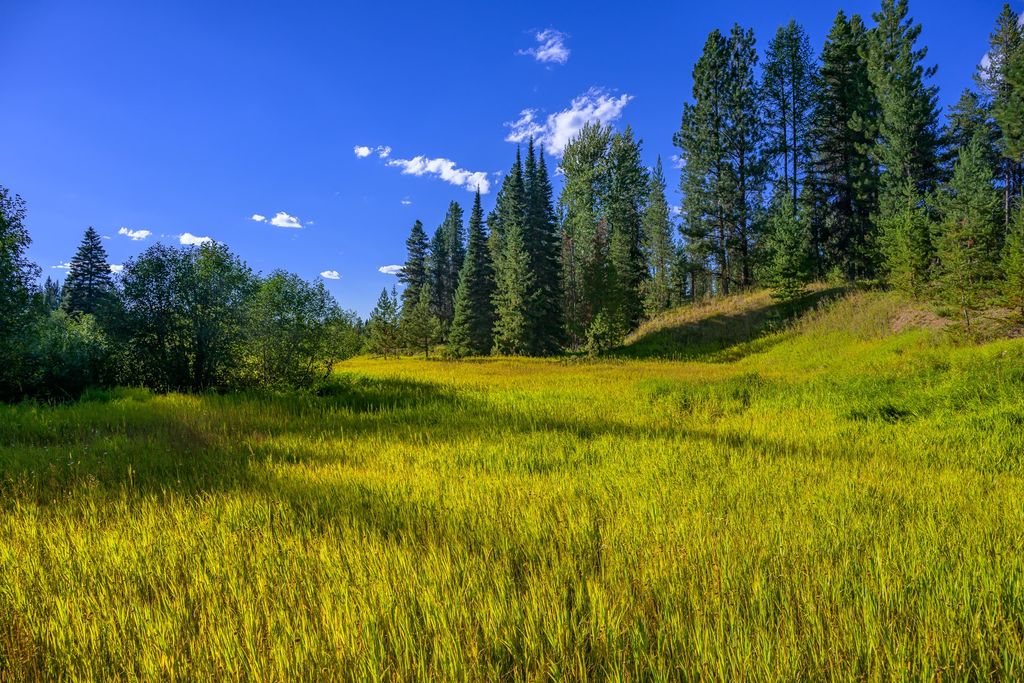002 Route 83, Seeley Lake, MT 59868 photo 27