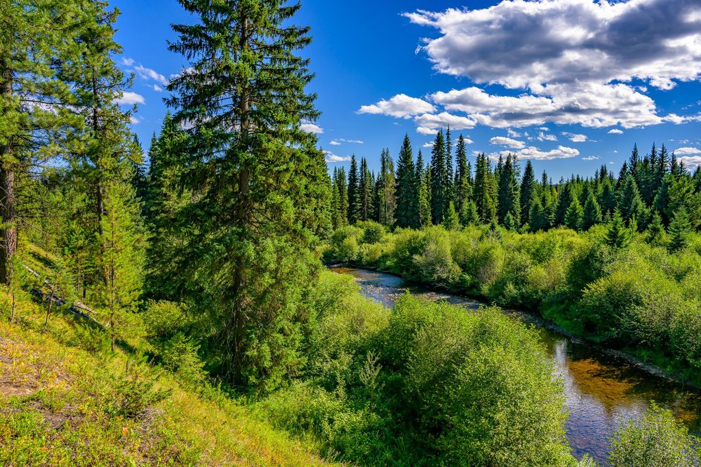 002 Route 83, Seeley Lake, MT 59868 photo 6