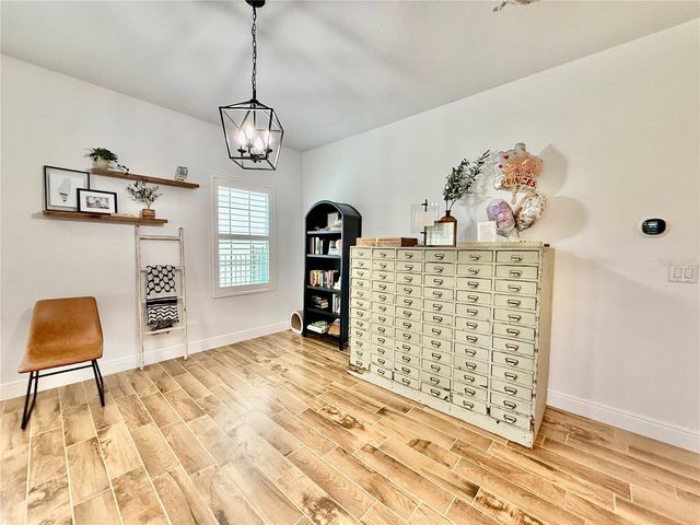 12613 SHETLAND WALK DRIVE, Lithia, FL 33547