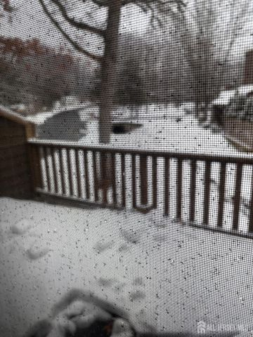 92 Heather Court, Edison, NJ 08820