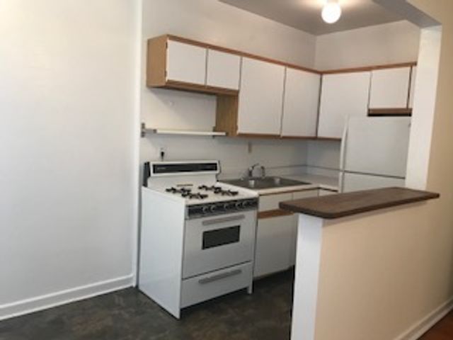 644 W Wrightwood Avenue 214, Chicago, IL 60614