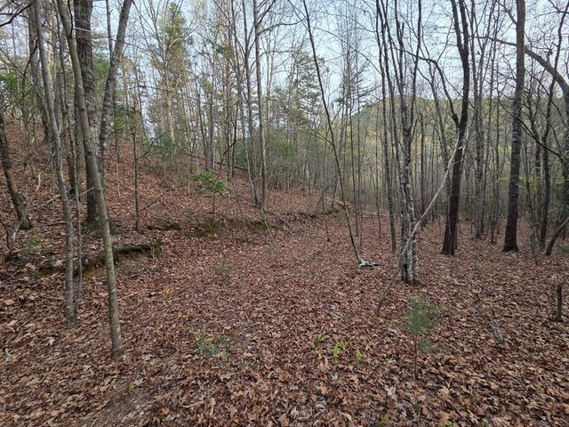 Lot 53 Calvender Road, Turtletown, TN 37326