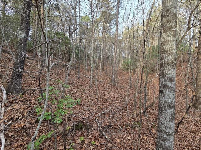 Lot 53 Calvender Road, Turtletown, TN 37326