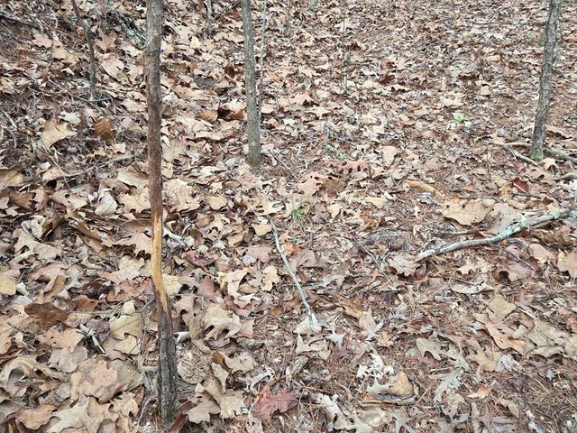 Lot 53 Calvender Road, Turtletown, TN 37326