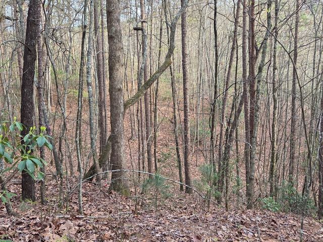 Lot 53 Calvender Road, Turtletown, TN 37326
