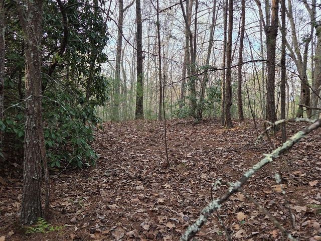 Lot 53 Calvender Road, Turtletown, TN 37326