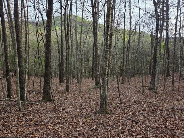 Lot 53 Calvender Road, Turtletown, TN 37326