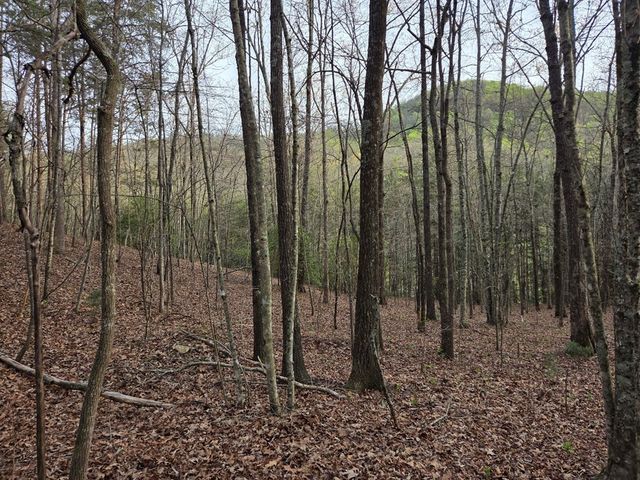 Lot 53 Calvender Road, Turtletown, TN 37326