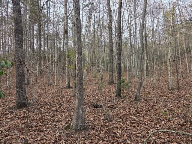 Lot 53 Calvender Road, Turtletown, TN 37326