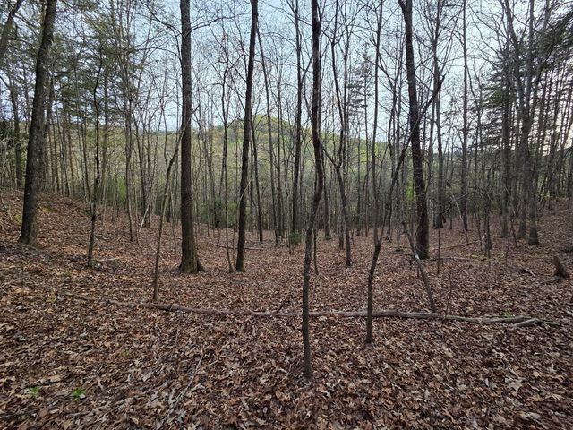 Lot 53 Calvender Road, Turtletown, TN 37326