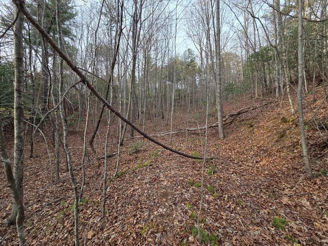 Lot 53 Calvender Road, Turtletown, TN 37326
