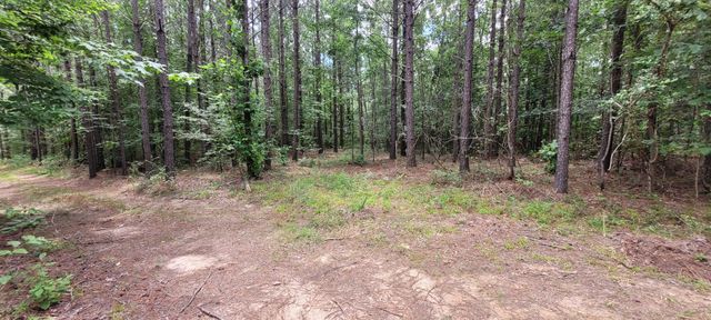167 Freeman Fielder Rd, Stewart, TN 37175