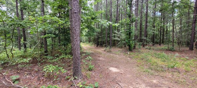 167 Freeman Fielder Rd, Stewart, TN 37175