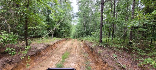 167 Freeman Fielder Rd, Stewart, TN 37175