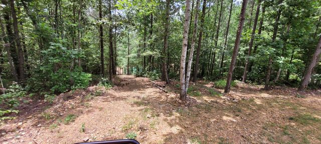 167 Freeman Fielder Rd, Stewart, TN 37175