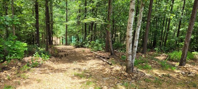 167 Freeman Fielder Rd, Stewart, TN 37175