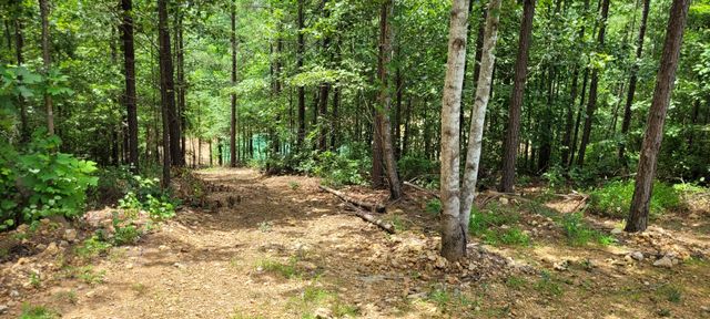167 Freeman Fielder Rd, Stewart, TN 37175