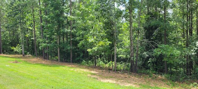167 Freeman Fielder Rd, Stewart, TN 37175
