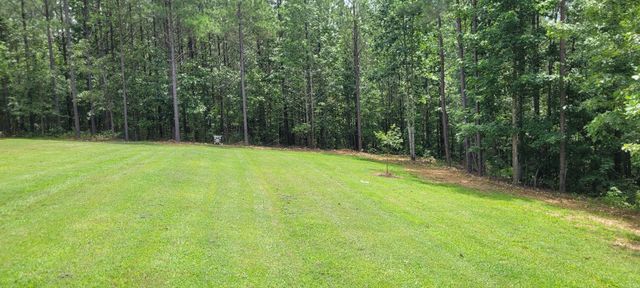 167 Freeman Fielder Rd, Stewart, TN 37175
