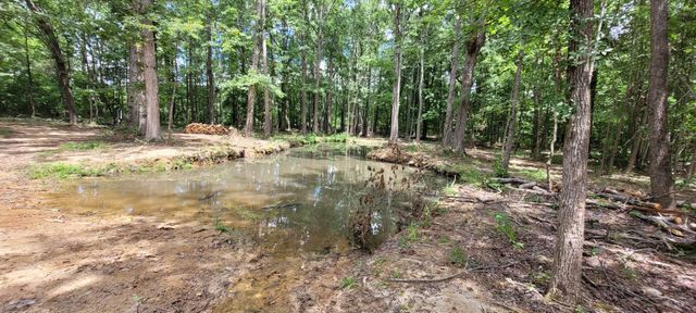167 Freeman Fielder Rd, Stewart, TN 37175