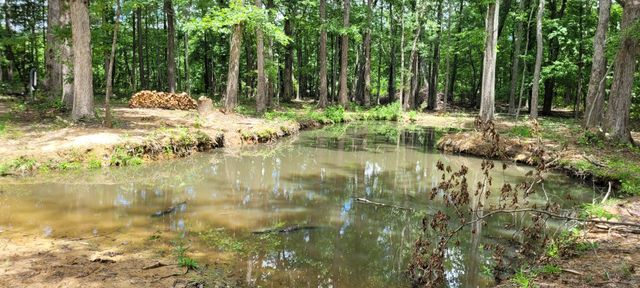 167 Freeman Fielder Rd, Stewart, TN 37175