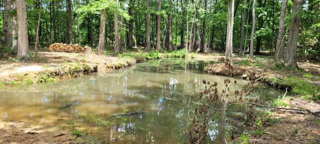 167 Freeman Fielder Rd, Stewart, TN 37175