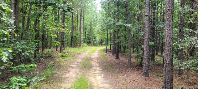 167 Freeman Fielder Rd, Stewart, TN 37175