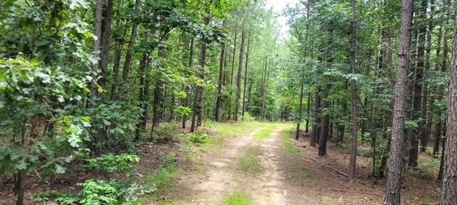 167 Freeman Fielder Rd, Stewart, TN 37175