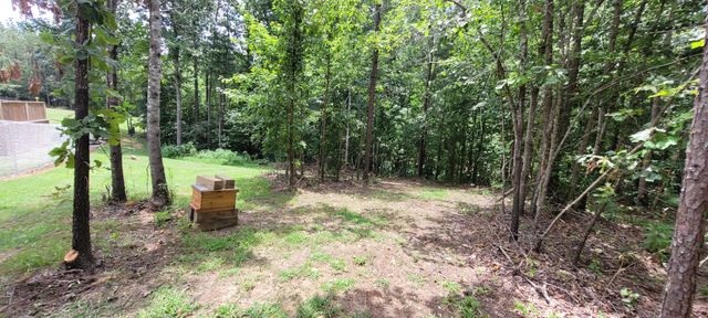 167 Freeman Fielder Rd, Stewart, TN 37175