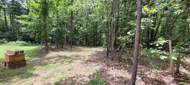 167 Freeman Fielder Rd, Stewart, TN 37175