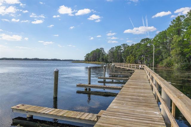 4226 PRESERVE PLACE, Palm Harbor, FL 34685